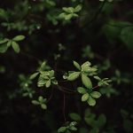 ben karpinski ur pnorurpk unsplash